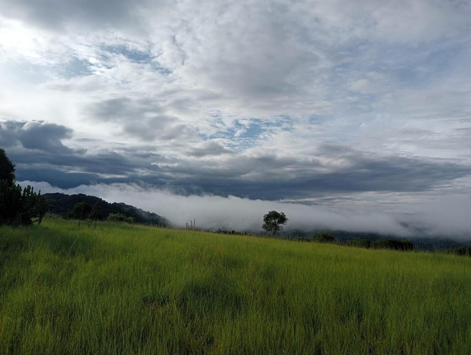 @Nature Luxury Cottages Mbombela Dış mekan fotoğraf