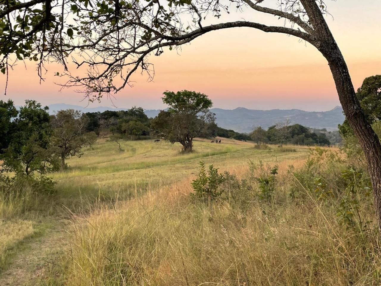 @Nature Luxury Cottages Mbombela Dış mekan fotoğraf